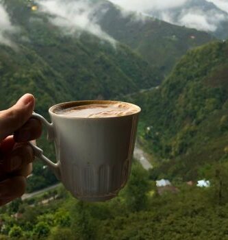 Café recién hecho con una cafetera portátil
